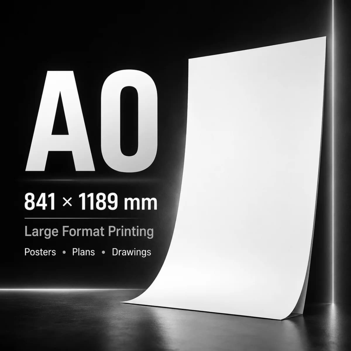 A0 Print — Black & White