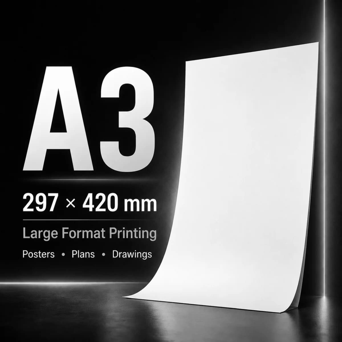 A3 Print — Black & White